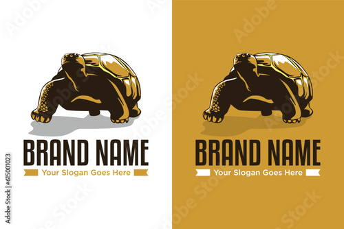 simple modern Tortoise vector illustration logo design