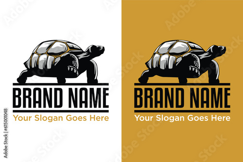 simple modern Tortoise illustration logo design