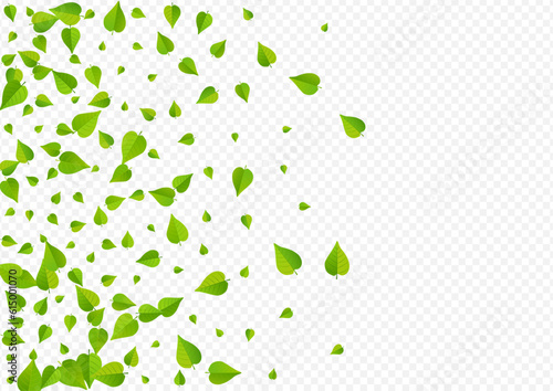 Olive Greens Motion Vector Transparent Background