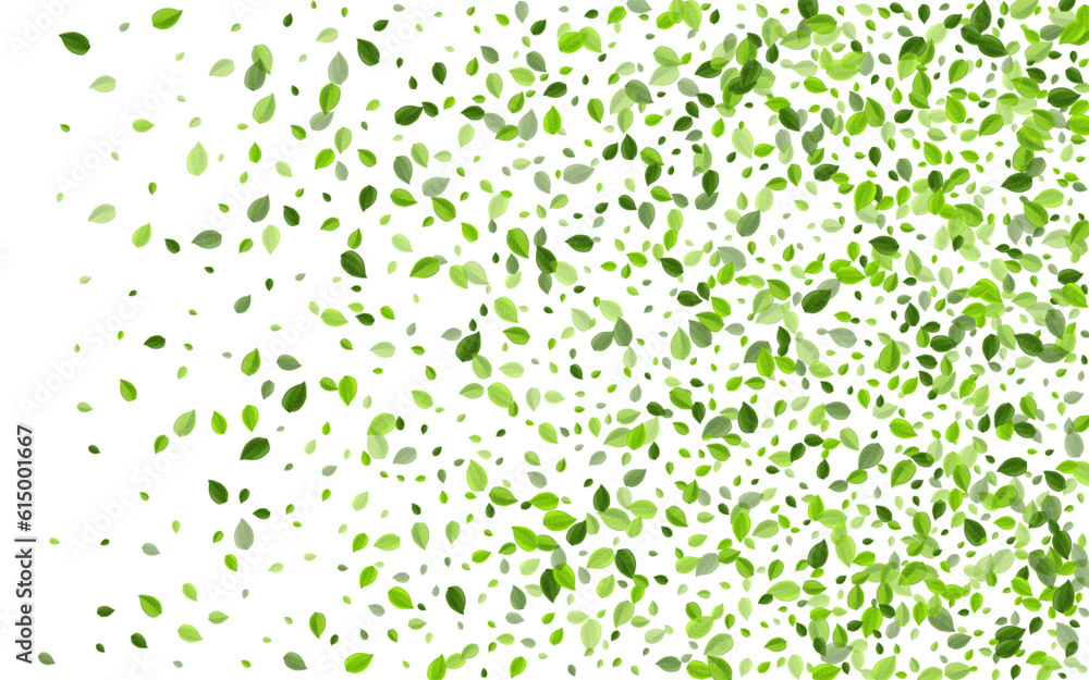 Swamp Leaf Nature Vector Border. Realistic Leaves Swamp Leaf Nature Vector Border. Realistic Leaves