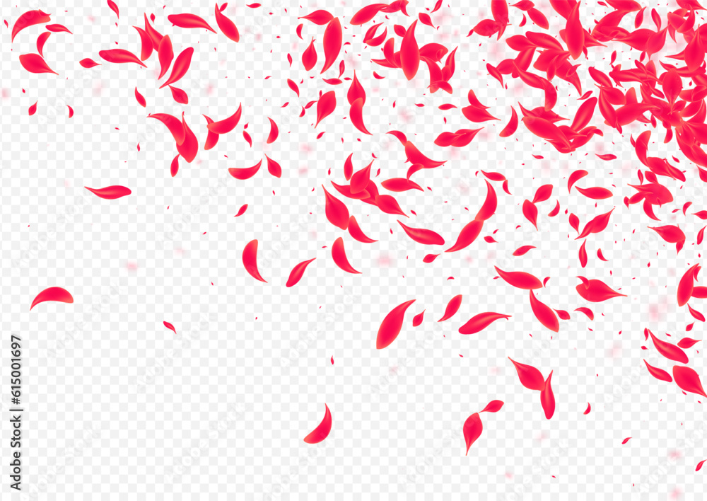 Red Petal Vector Transparent Background. Spring Red Petal Vector Transparent Background. Spring
