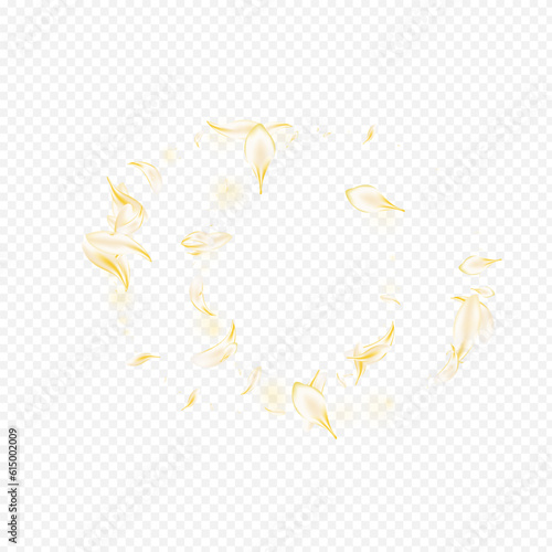 Beige Petal Tender Vector Transparent Background.