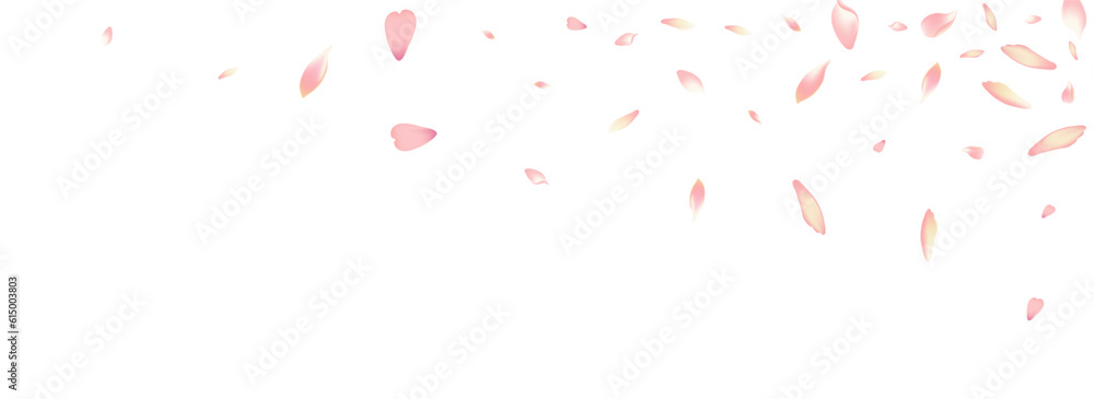 Transparent Lotus Petal Vector White Background.