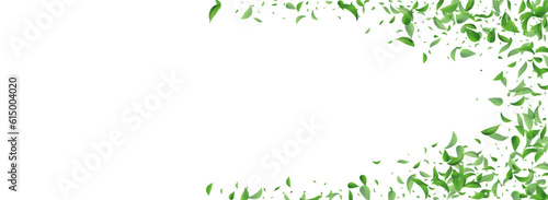 Mint Greens Wind Vector Panoramic White