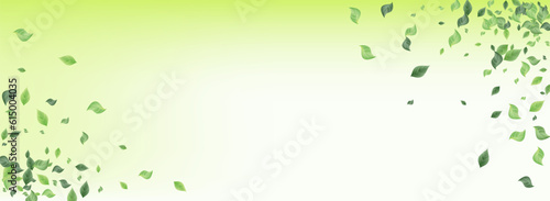 Olive Leaves Falling Vector Green Background