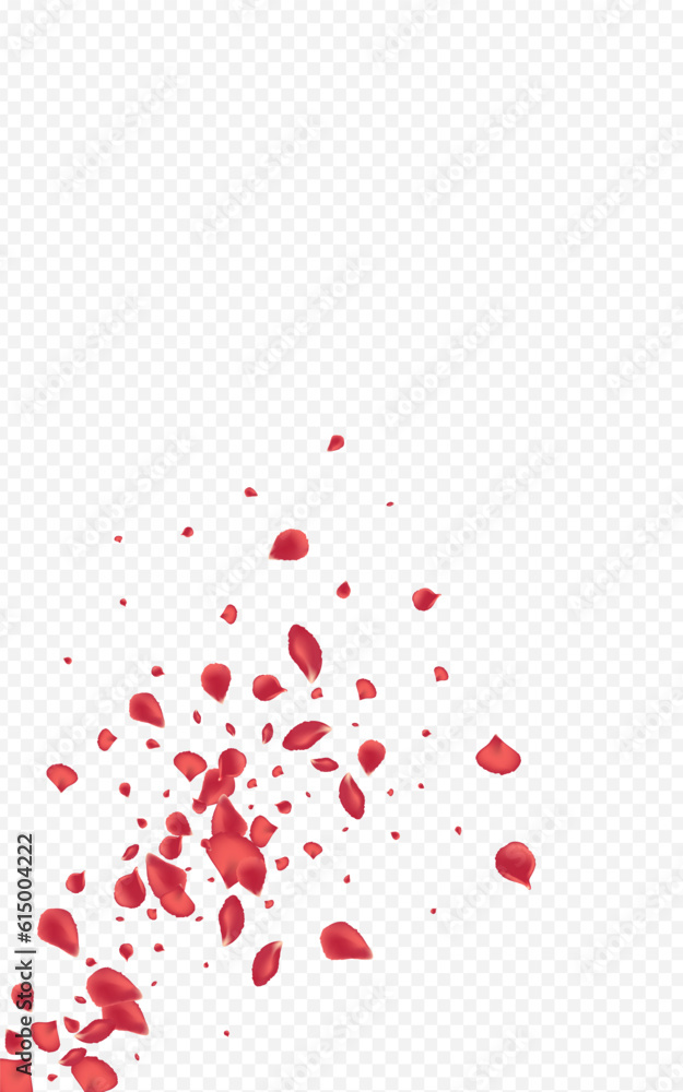 Beautiful Cherry Falling Vector Transparent