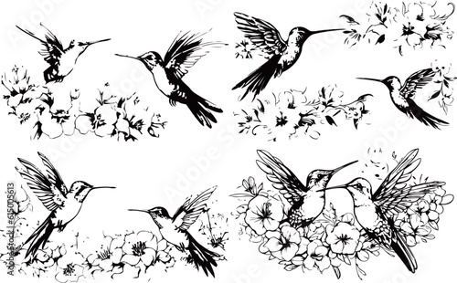 Set of hummingbird silhouettes, black and white design, vector illustration, SVG, great for t-shirts, mugs, birthday cards, wall stickers, stickers, iron-on, scrapbooking,