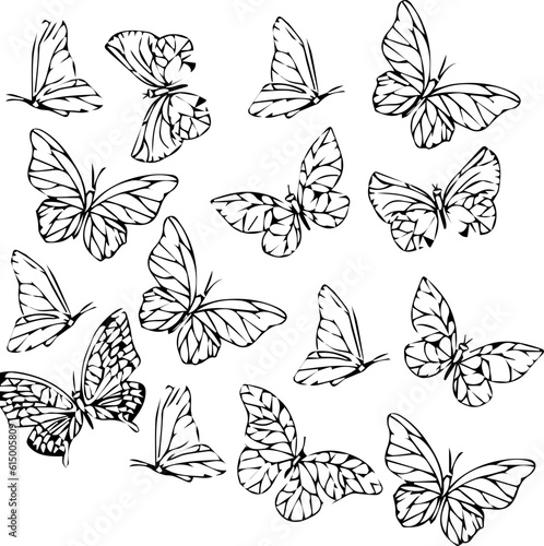 15 butterflies sheet Seamless pattern with butterflies. Black and white  © Designs Info