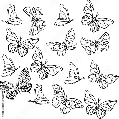15 butterflies sheet Seamless pattern with butterflies. Black and white 