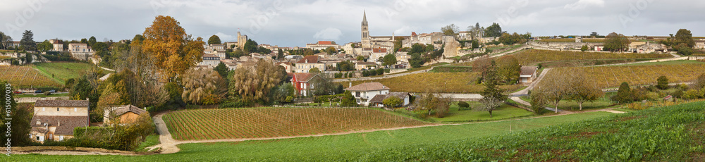 St. Emilion panoramic view. Agriculture industry in Aquitaine. France