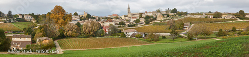 St. Emilion panoramic view. Agriculture industry in Aquitaine. France