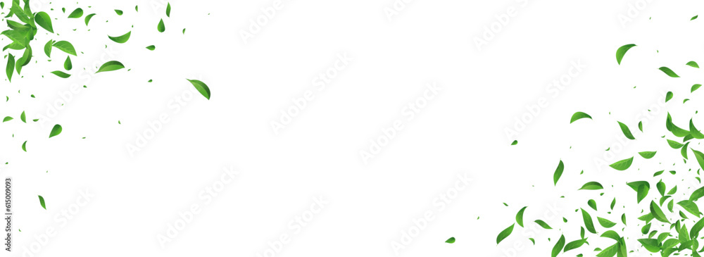 Grassy Greens Herbal Vector Panoramic White Grassy Greens Herbal Vector Panoramic White