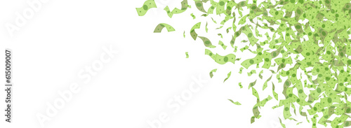Paper Currency Vector White Panoramic Background.