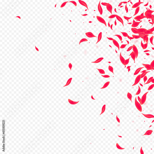 Beautiful Lotus Vector Transparent Background.
