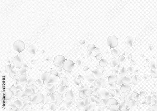 Delicate Peach Vector Transparent Background.