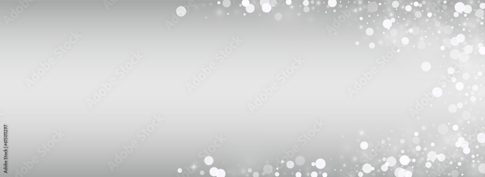 Fototapeta premium Light Snow Vector Silver Panoramic Background.