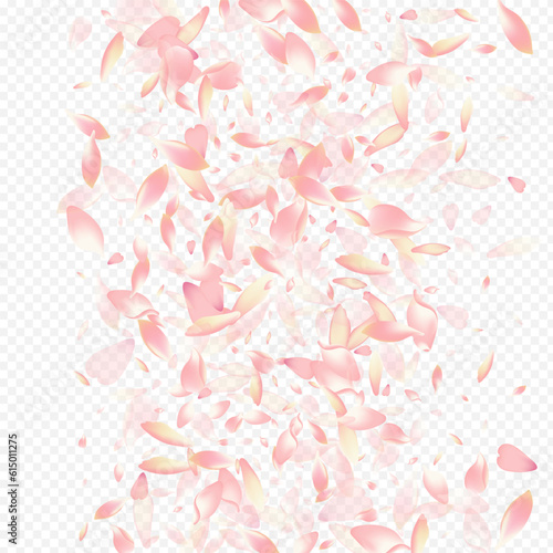 White Flower Vector Transparent Background. Petal