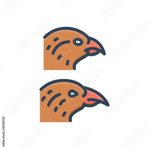 Color illustration icon for variation 