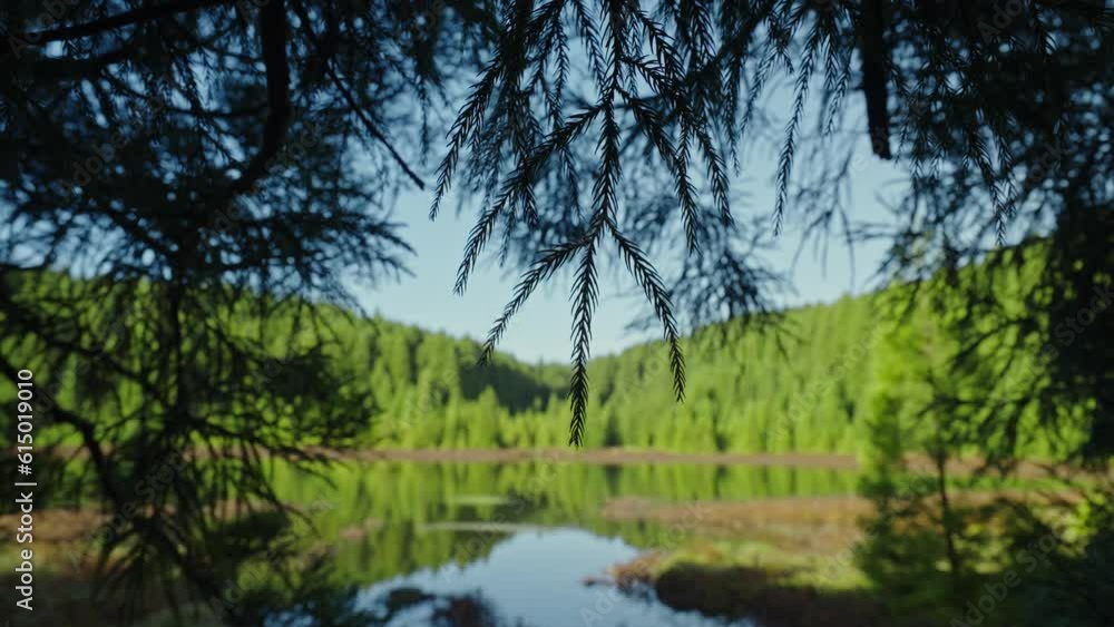 Canário Lagoon: Serene view of nature in São Miguel Island, Azores Canário Lagoon: Serene view of nature in São Miguel Island, Azores