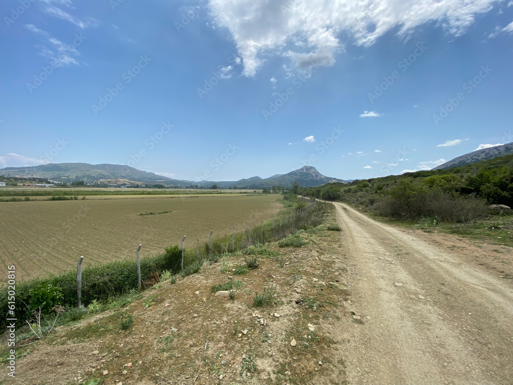 Wide agricultural field in the 