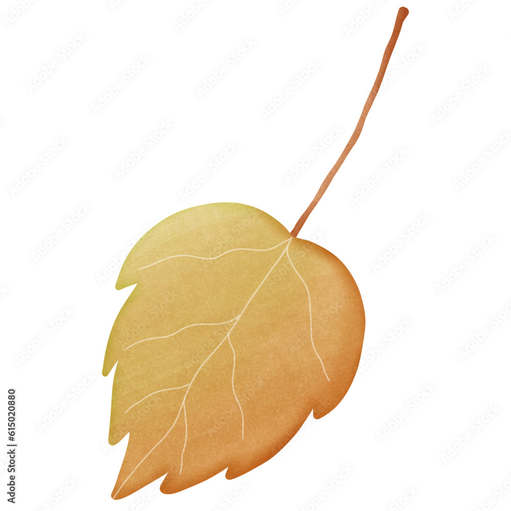 Fototapeta premium Autumn leaves 