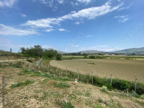 Wide agricultural field in the 