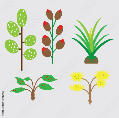 Abstract Stylized Plant and Flower Vector Set. Collection of Flat Cartoon Foliage, Grass, and Branches with Decorative Spots.