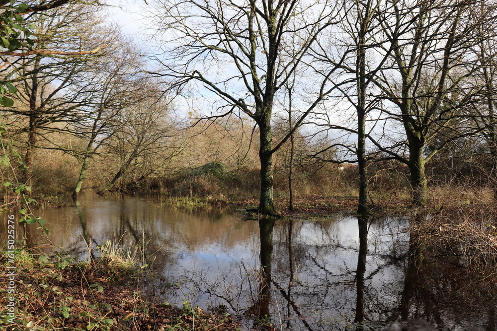 L'eau reprends ses droits