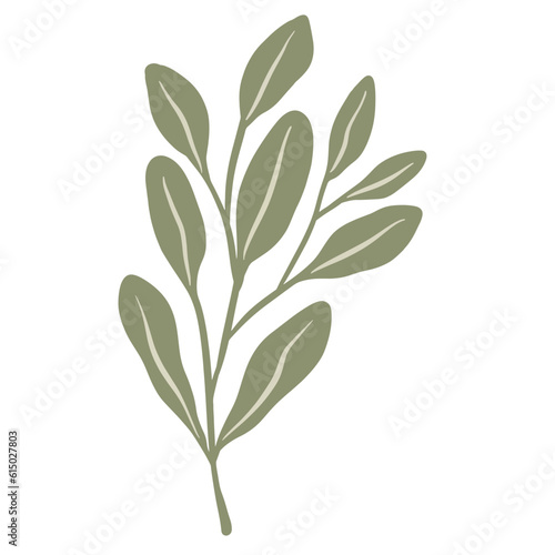 Hand-draw leaves in gouache digital illustration style