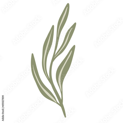 Hand-draw leaves in gouache digital illustration style