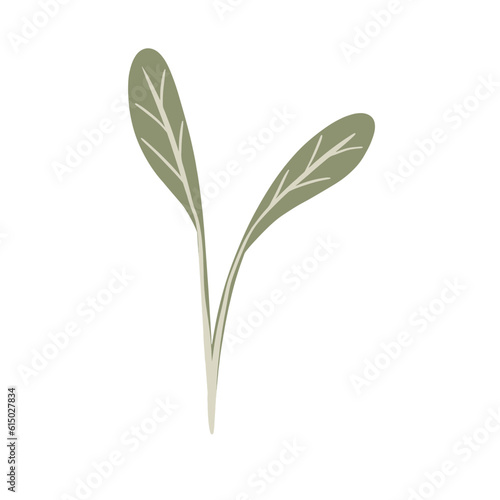  Hand-draw leaves in gouache digital illustration style