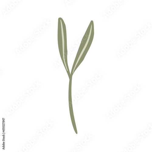  Hand-draw leaves in gouache digital illustration style