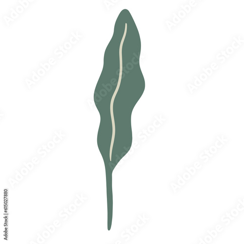  Hand-draw leaves in gouache digital illustration style