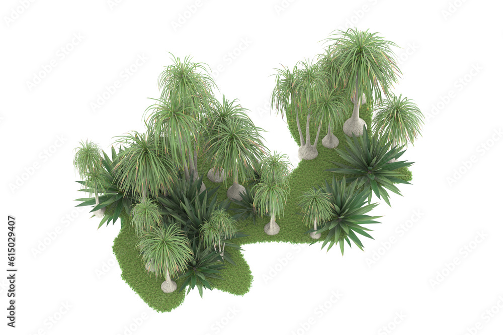 Tropical forest isolated on transparent background. 3d rendering - illustration Tropical forest isolated on transparent background. 3d rendering - illustration