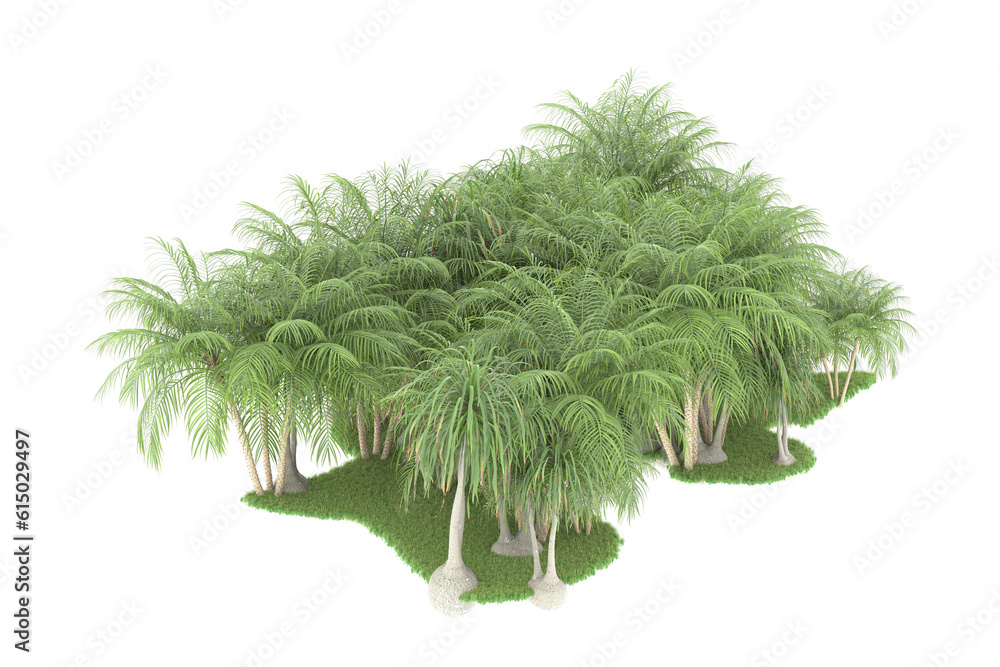 Fototapeta premium Tropical forest isolated on transparent background. 3d rendering - illustration
