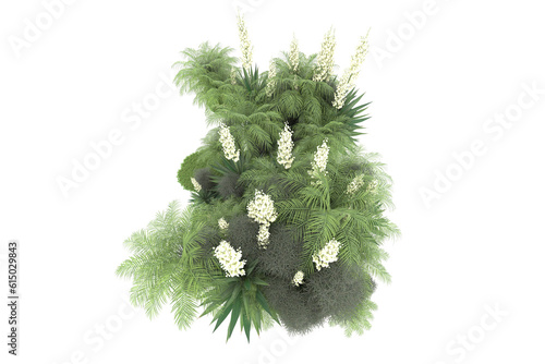 Tropical forest isolated on transparent background. 3d rendering - illustration