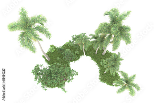 Tropical forest isolated on transparent background. 3d rendering - illustration