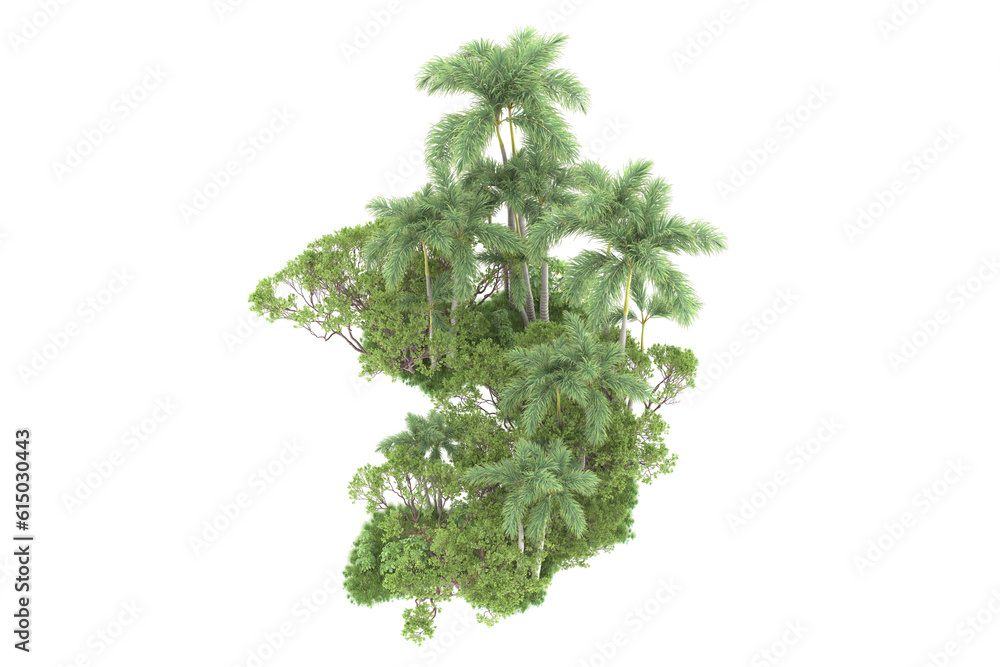 Fototapeta premium Tropical forest isolated on transparent background. 3d rendering - illustration