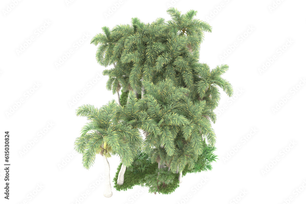 Fototapeta premium Tropical forest isolated on transparent background. 3d rendering - illustration