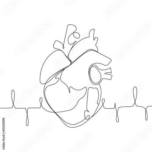 Anatomical human heart silhouette Single continuous line art .Healthy medicine concept design sketch outline drawing vital human organ vector illustratio.Minimalist design human heart with cardiogram