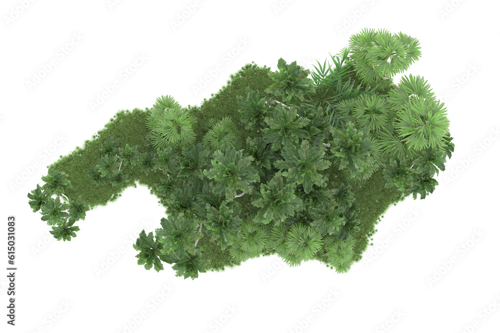 Fototapeta premium Tropical forest isolated on transparent background. 3d rendering - illustration