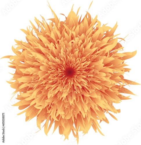 red and yellow vector dahlia flower isolated on white background