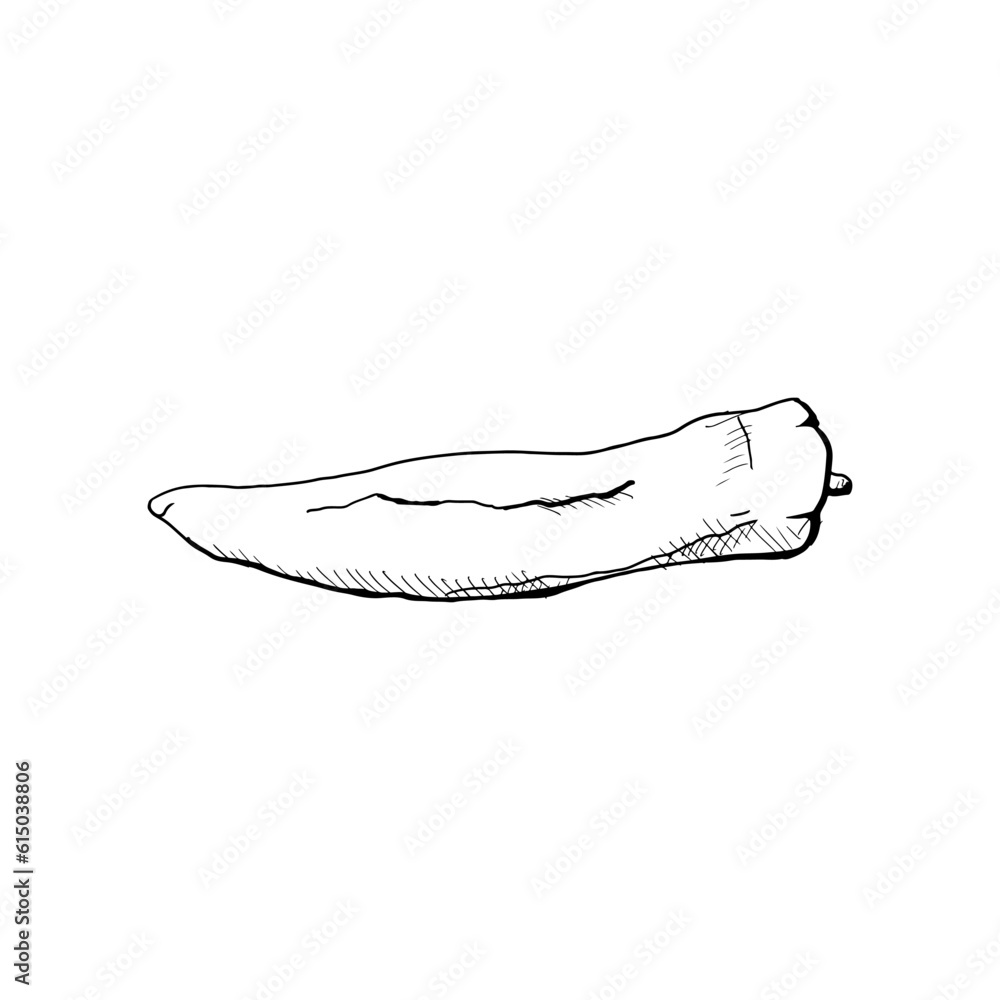 Hand-drawn sketch of chilli pepper. Vector illustration. Isolated on white. Hand-drawn sketch of chilli pepper. Vector illustration. Isolated on white.