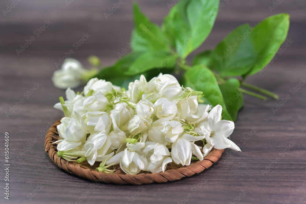 Fragrance and sweet smell jasmine flowers on latan basket. Jasmine flower is the flower used in cosmestic industrial, rituals, religious ceremonies, adore the buddha. Fragrance and sweet smell jasmine flowers on latan basket. Jasmine flower is the flower used in cosmestic industrial, rituals, religious ceremonies, adore the buddha.