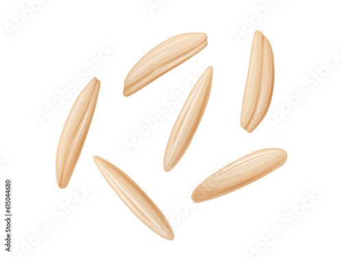 Brown rice grain. Unpolished rice seeds in cartoon flat style.