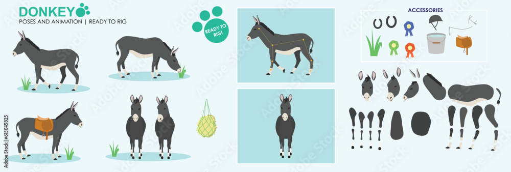 Black Donkey vector collection ready to animate and rig. Multiple poses and angles, farm animals, walking, grazing. 