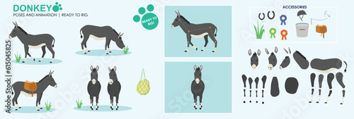 Black Donkey vector collection ready to animate and rig. Multiple poses and angles, farm animals, walking, grazing. 