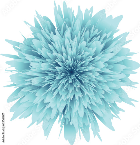 bright bold teal chrysanthemum vector flower design isolated on white background