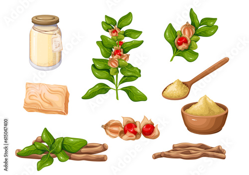 Ashwagandha set vector illustration. Cartoon isolated Ashwagandha dry root pile and powder in bowl or spoon, bush branch of Indian ginseng with berry fruit and green leaf, ayurvedic soap and bath salt