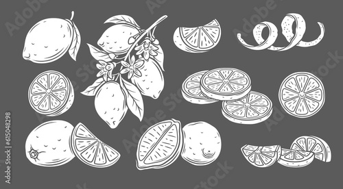 Lemon glyph icons set vector illustration. White stamps of sweet and sour citrus fruit collection isolated on black, whole lemon on branch and cut into wedges and slices pile for lemonade and juice